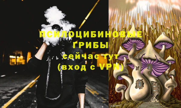 ALPHA PVP Баксан