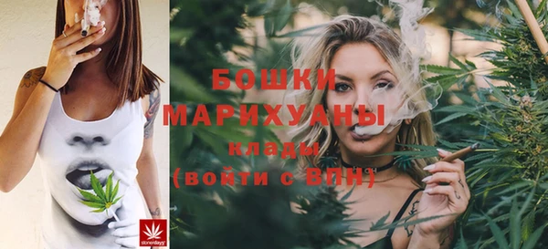 гашик Белокуриха