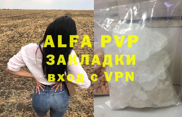 гашик Белокуриха