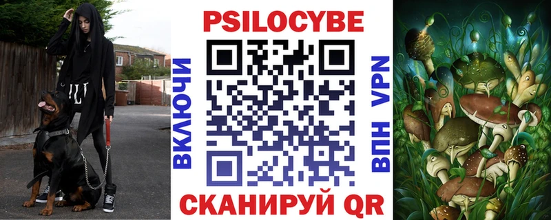 маркетплейс клад  магазин    ссылка на мегу ONION  Сковородино  Псилоцибиновые грибы Psilocybine cubensis 